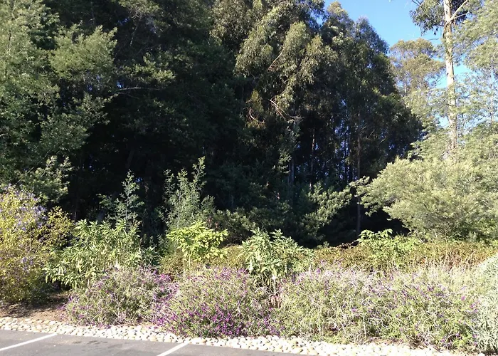The Inn At Pasatiempo